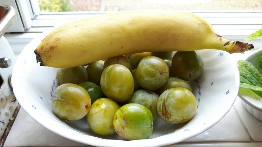 Groene pruimen mogen afrijpen met een banaan