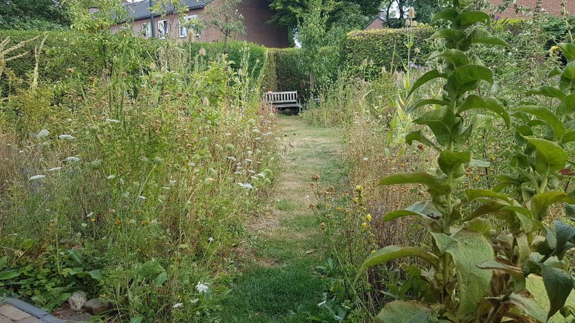 De bloemenwei is stro geworden.