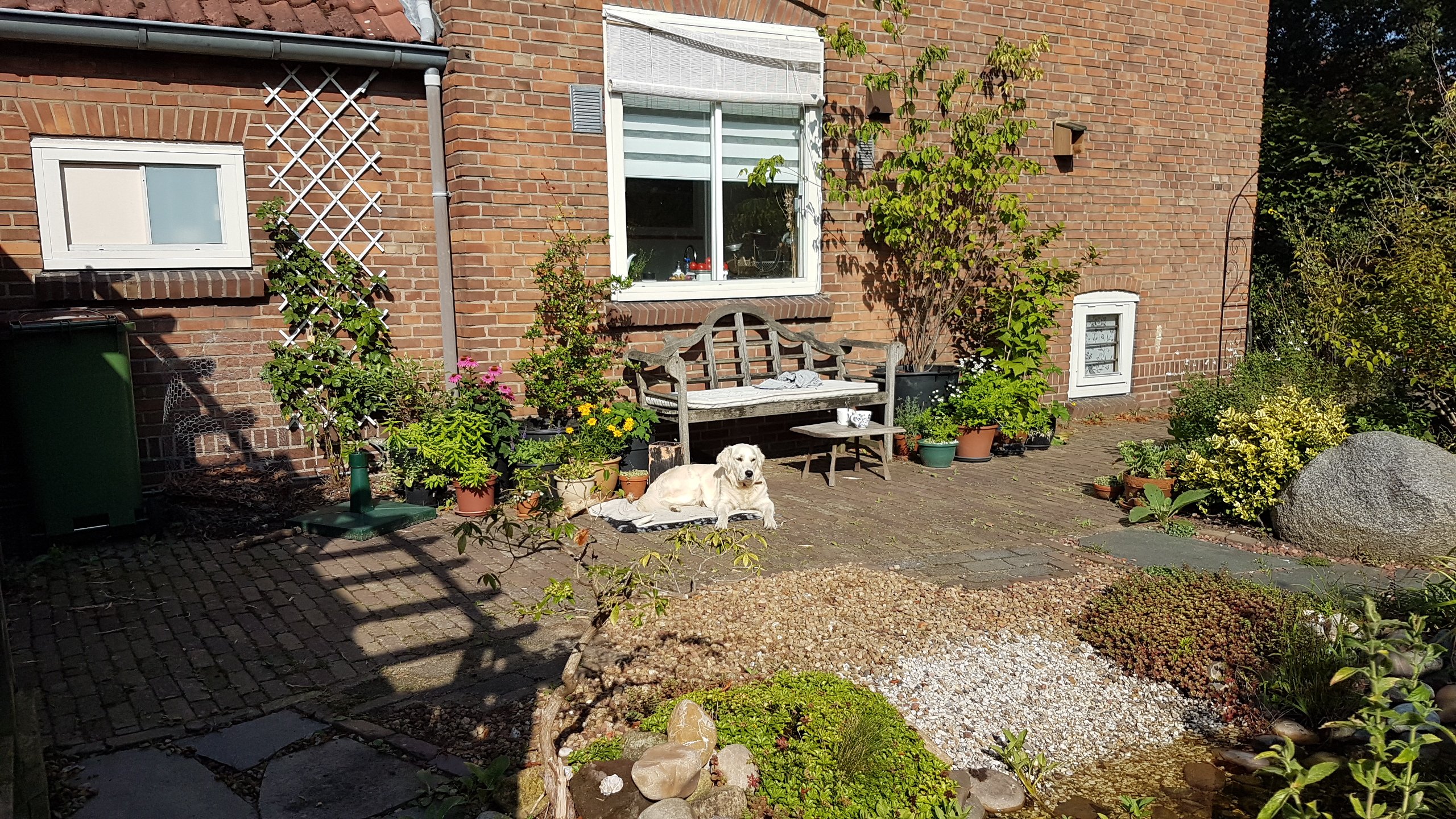 een paadje tussen regenpijp en vijver