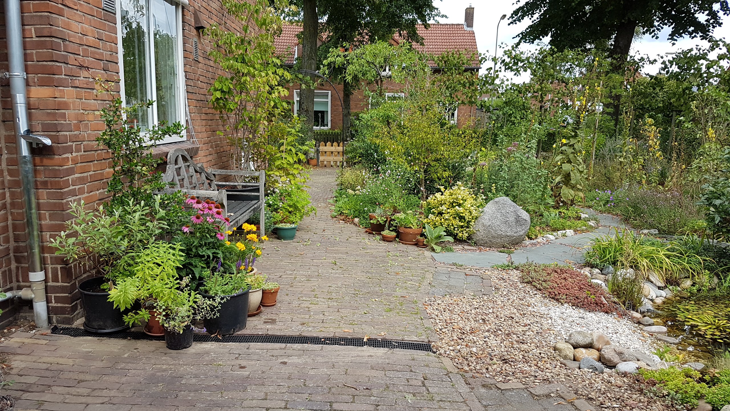 Regenpijp, goot en vijver