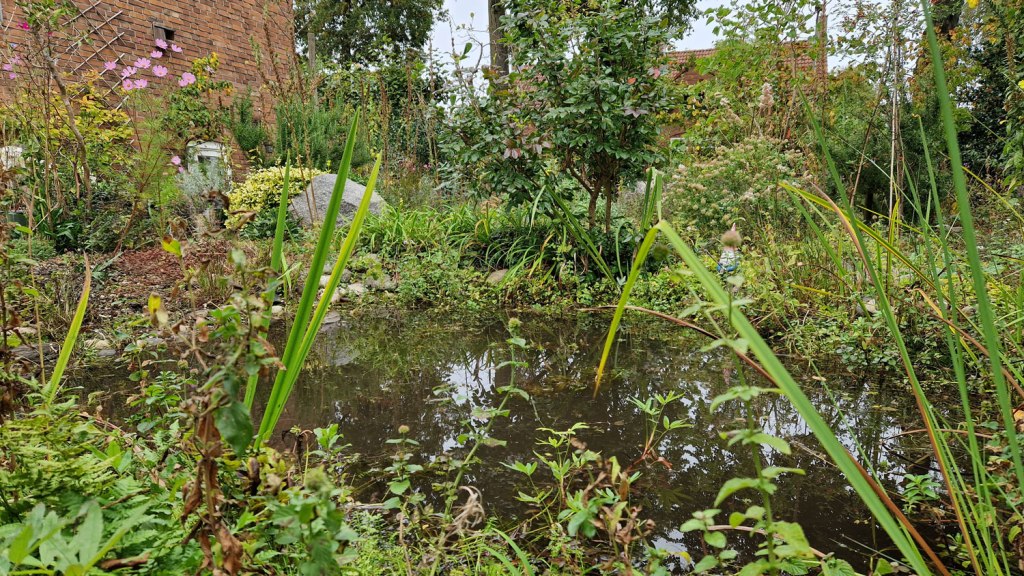 Door de royaal begroeide randen is de natuurlijke vijver nog steeds prachtig om te zien.
